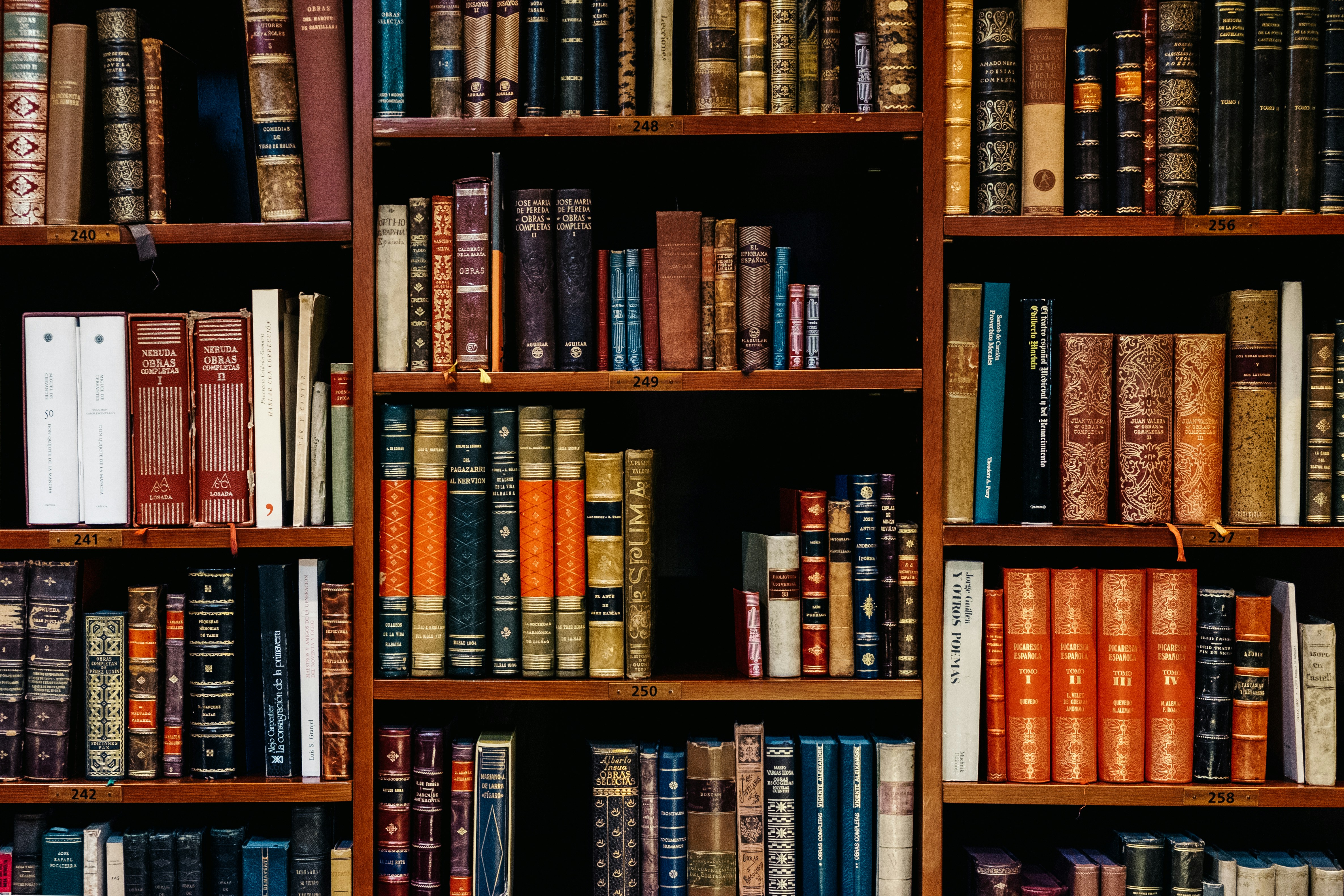 Law library with books on shelves